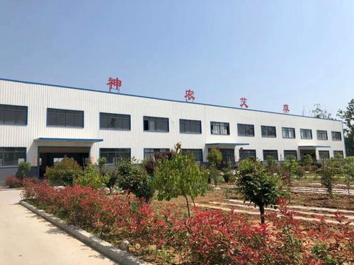 宛艾領航 神農艾草攜生態全系制劑亮相中國艾博會，定位化學藥應用新場景